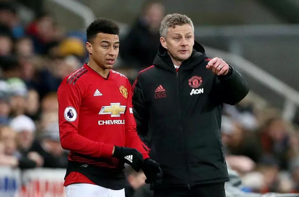 他们不仅在 他们不仅在